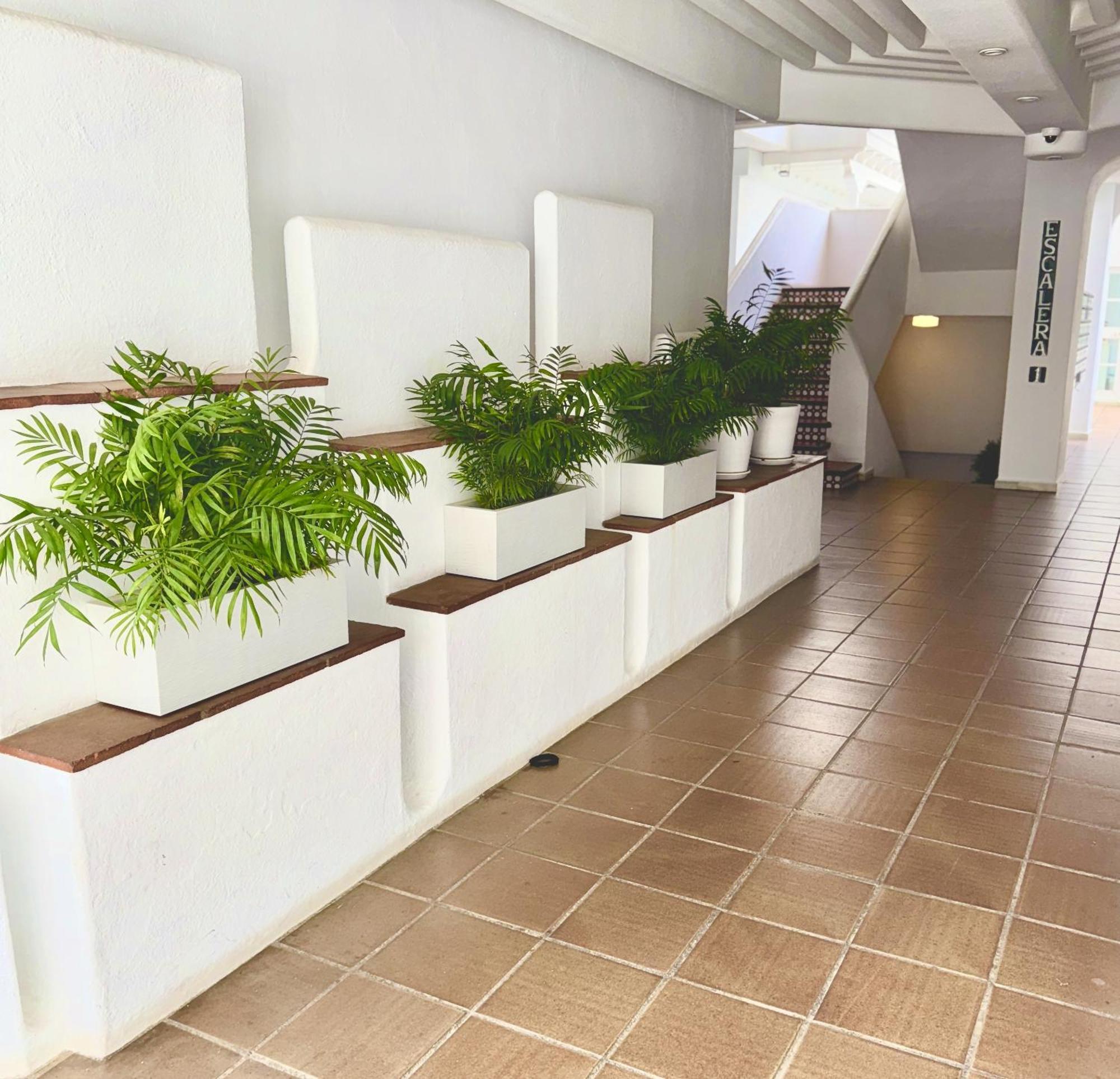 Amplio Y Luminoso En Puerto Banus Appartement *